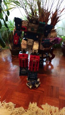 House - Fort Max
