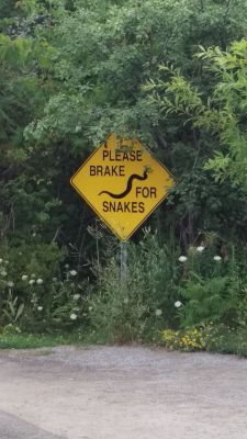 Zoo - Snake Sign
