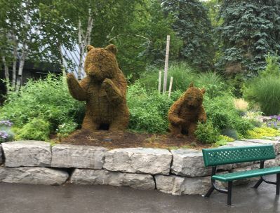 Zoo - Bear Statues

