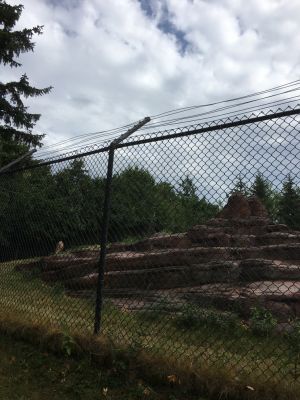 Zoo - Enclosure
