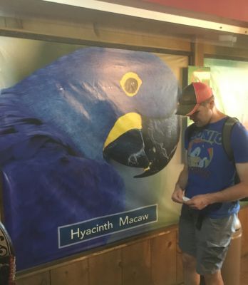 Bird Kingdom - Entry
Ben and a macaw poster, matching in blue.
Keywords: gathering19