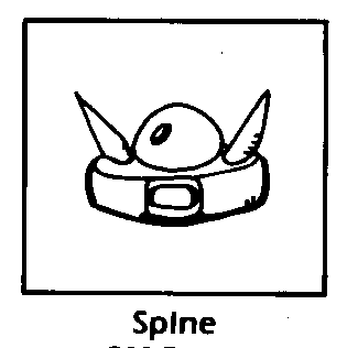 Spine
