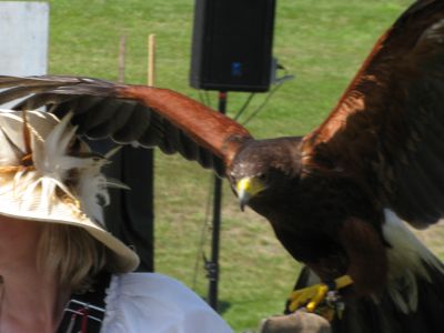 2(Sun) Pirate Festival - Birds of Prey - Strike
It's gonna get you.
Keywords: gathering10