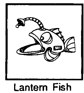 Lantern Fish
